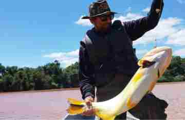  Piracema: proibição de pesca predatória na Bacia do Rio Paraná começa na sexta-feira